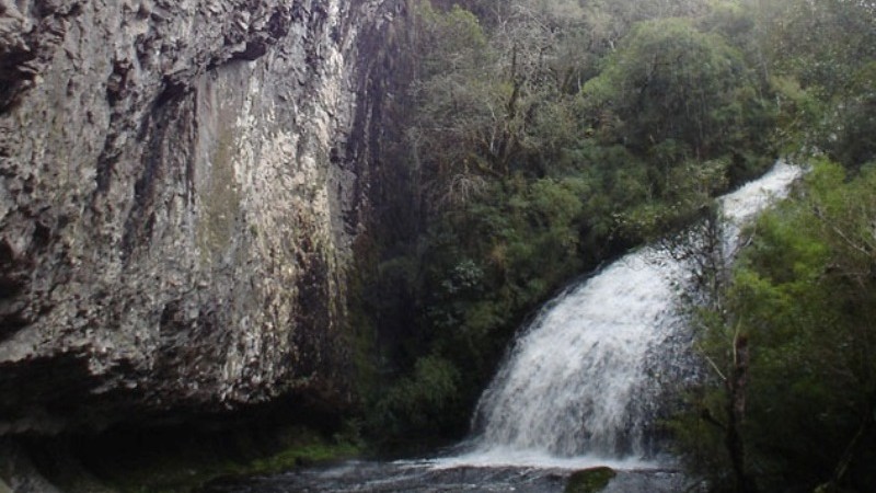 parque ronda red