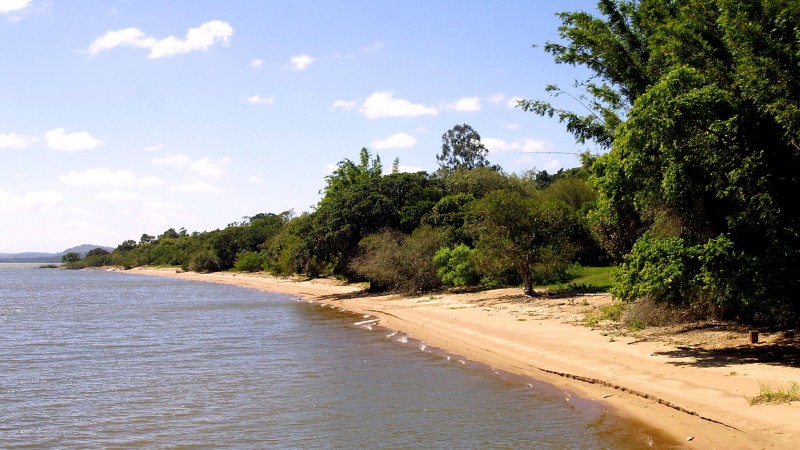 Vista da Praia das Pombas com bastante vegetação, faixa de areia e água tranquila.