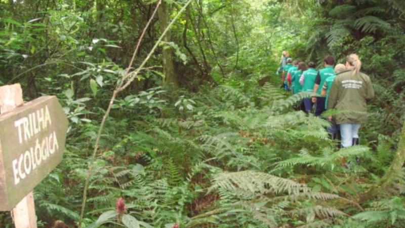 Trilha Ecol&oacute;gica