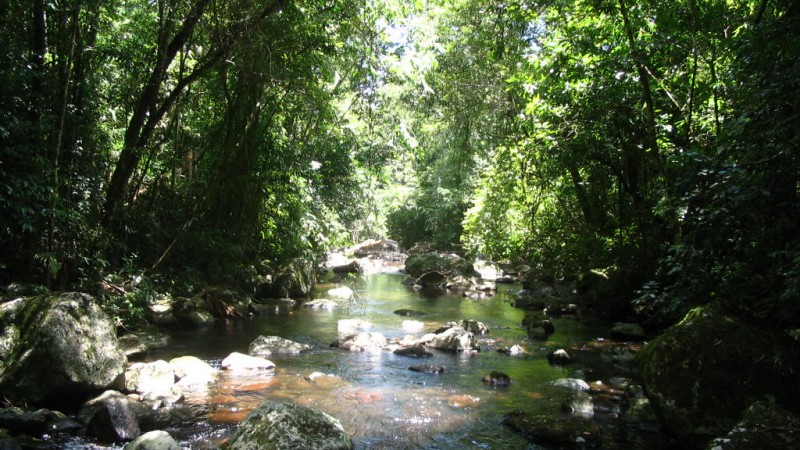 PDF) Parque Fluvial do Rio São Pedro -Macaé