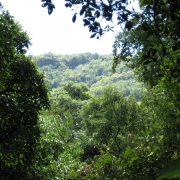 A Pedra Branca