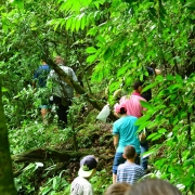 Ed  Ambiental  Trilha Caminho das Águas  (1)