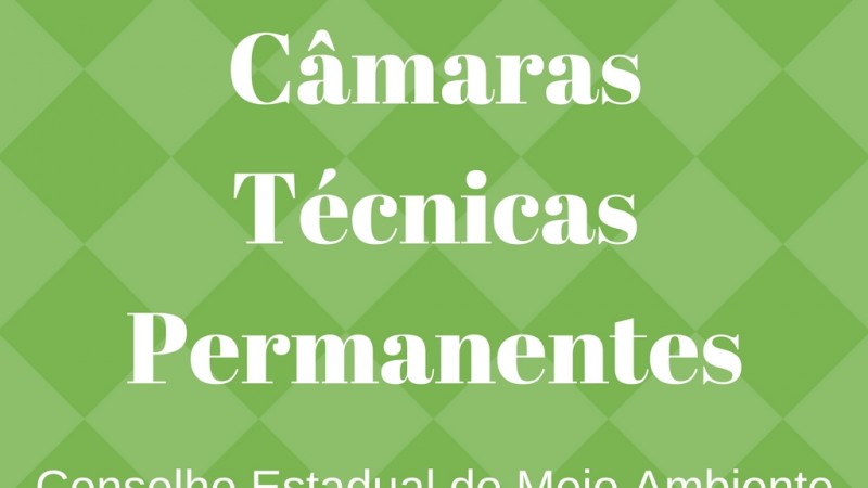 Câmaras Técnicas Permanentes