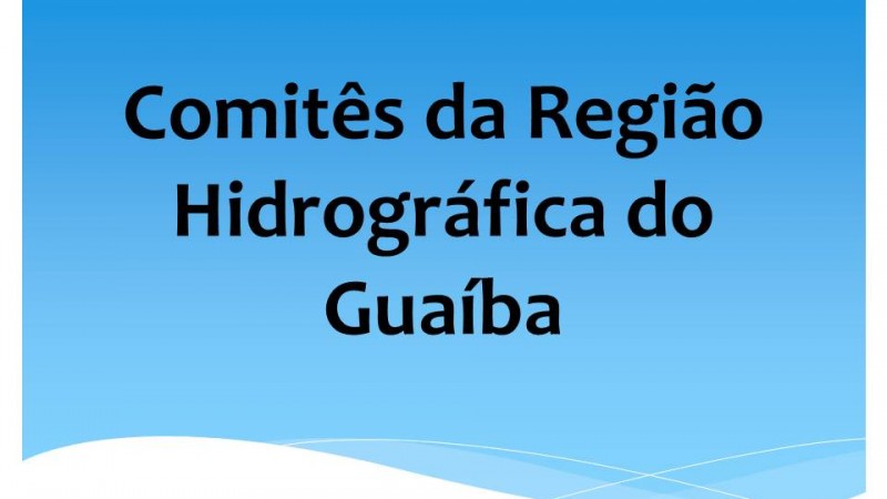 Comitês Região do Guaíba Imagem