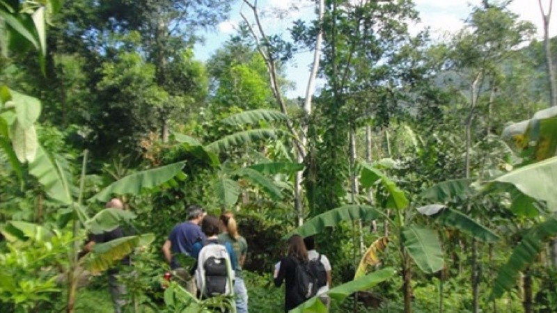 Certificação Ambiental Agroflorestal e Extrativista