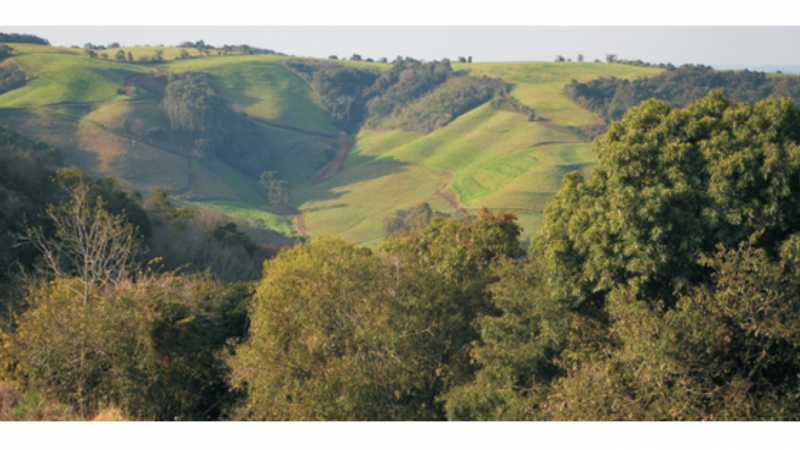 Paisagem na Bacia Hidrográfica dos Rios Apuaê-Inhandava