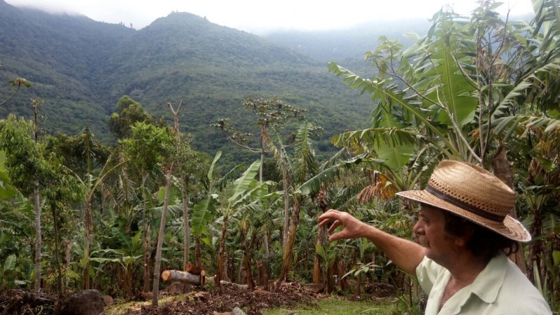 Agrofloresta   Ivonildo da Silveira (Foguinho)   Itati RS