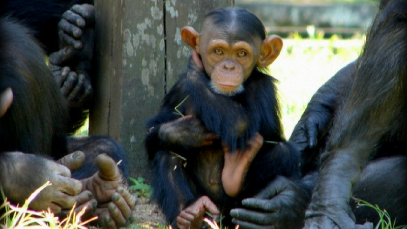 Zoo