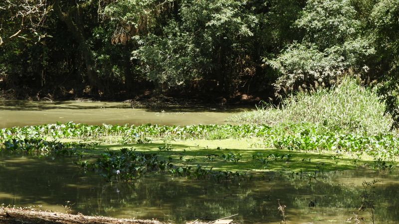 Base Ecológica do Rio Velho, em São Leopoldo
