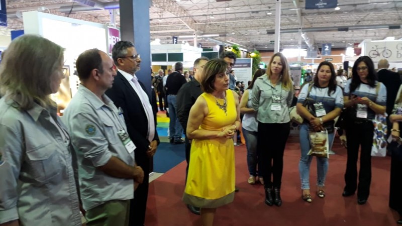 Caminho das Araucárias