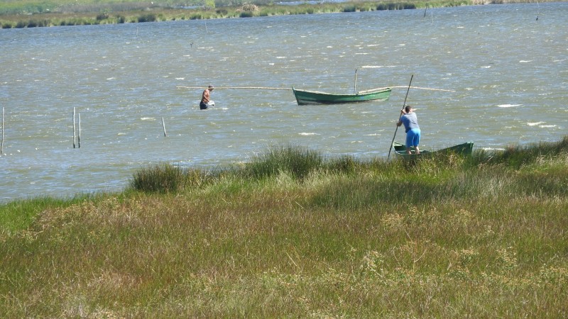 APA Lagoa Verde