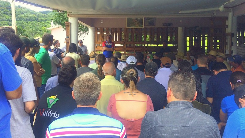 Reunião em Arvorezinha