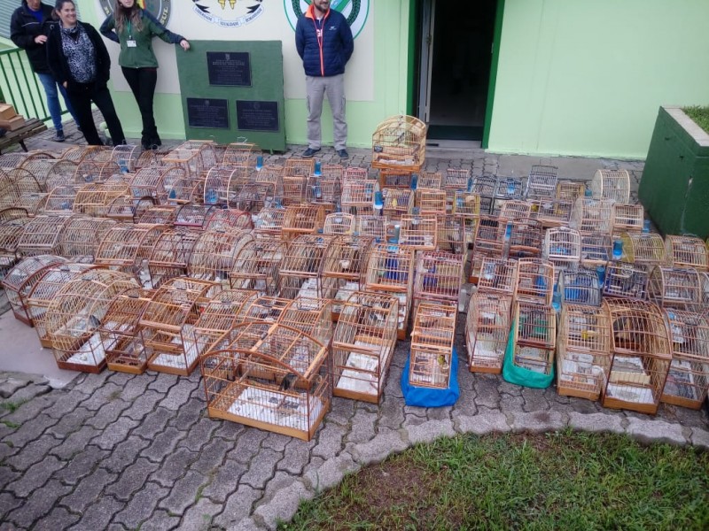 Operação foi realizada em Caxias do Sul