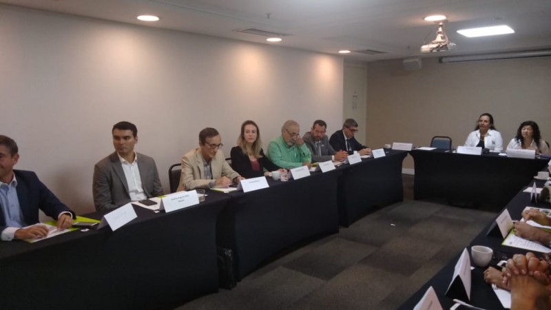 A assessora técnica Liana Tissiani representa a secretaria no evento