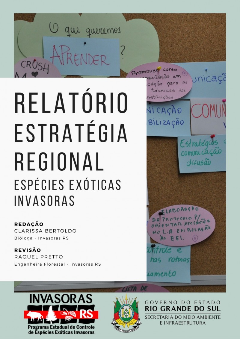 Raquel Rel Estrategia