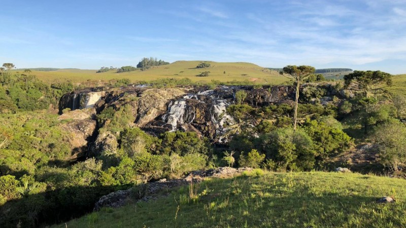 Mata Atlântica faz parte dos campos de altitude, um dos ecossistemas do bioma
