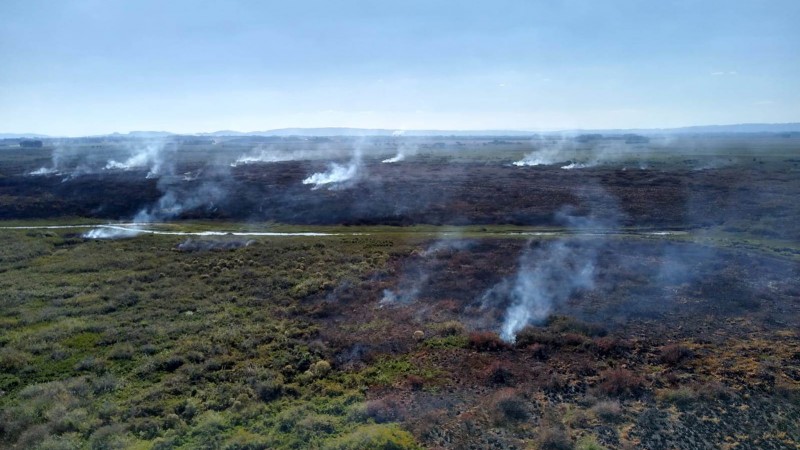 Focos de incêndio na APA Banhado Grande, em abril de 2020.