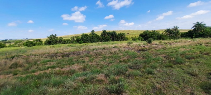 Propriedade Chácara Carancho foi a primeira certificada pelo Campos do Sul.