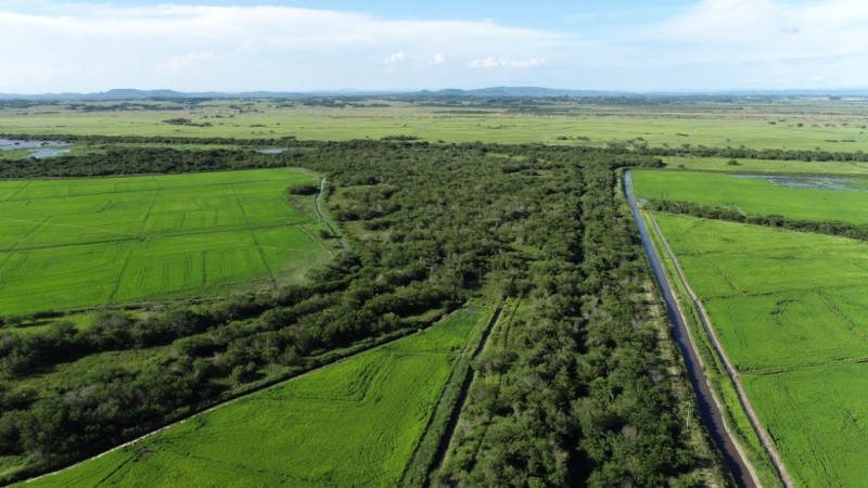 WhatsApp Image 2021 04 08 at 19 45 10