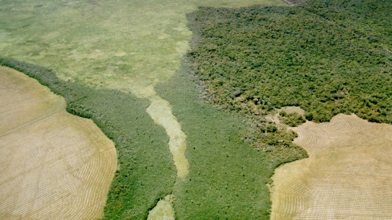 Com 732 hectares, esta foi a primeira área adquirida pelo RS nesta UC, que conta com um total de 4.392 hectares. 