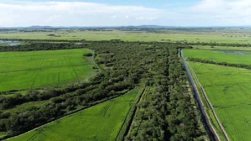 A ausência de regularização poderá resultar em infrações e penalidades previstas na Lei Estadual Nº 10.350/1994