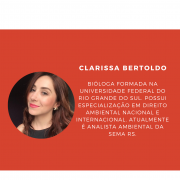 Clarissa Bertoldo