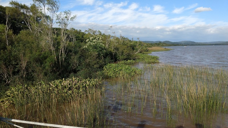 Reserva Biologica Lutzemberg