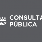 consulta pública