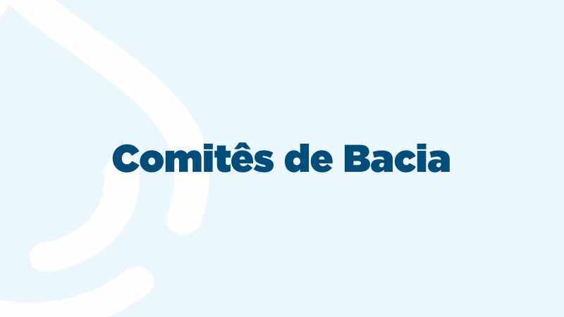 Comitês de Bacia