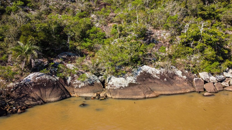 Encosta de barranco coberto de árvores e pedras rochosas à beira do lago em cores turvas