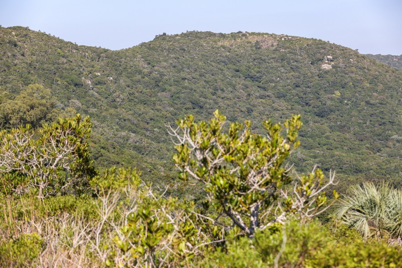 Vista do topo do morro em frente a outra vegetação de morro coberto por árvores e pontos de rocha.