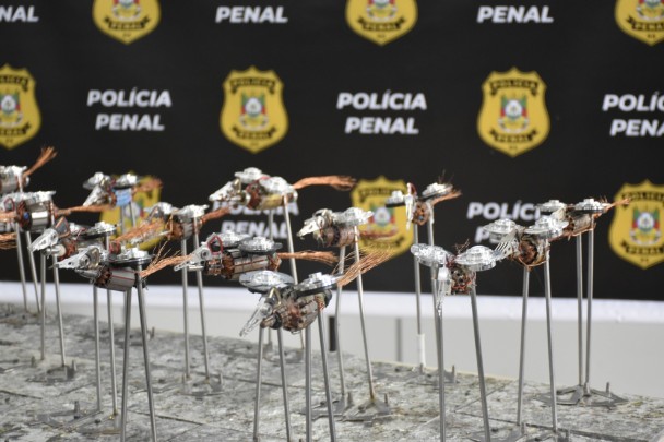 Alguns troféus em foco posicionados em cima de mesa. O quero-quero tem predominância na cor prata, com hastes de metal simulando as patas, mini motores para o corpo e peças de disco rígido de pc para as asas.