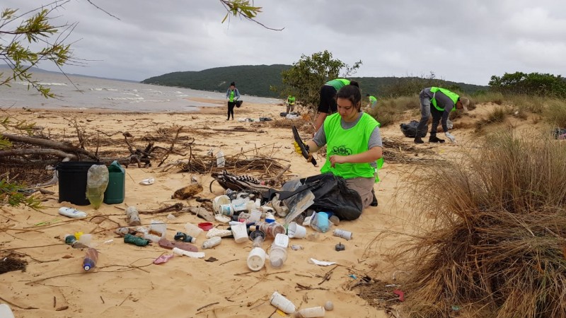 Voluntários recolhendo detritos na areia da praia de fora. Em primeiro plano uma das voluntarias de joelhos na areia com um saco de lixo em mãos