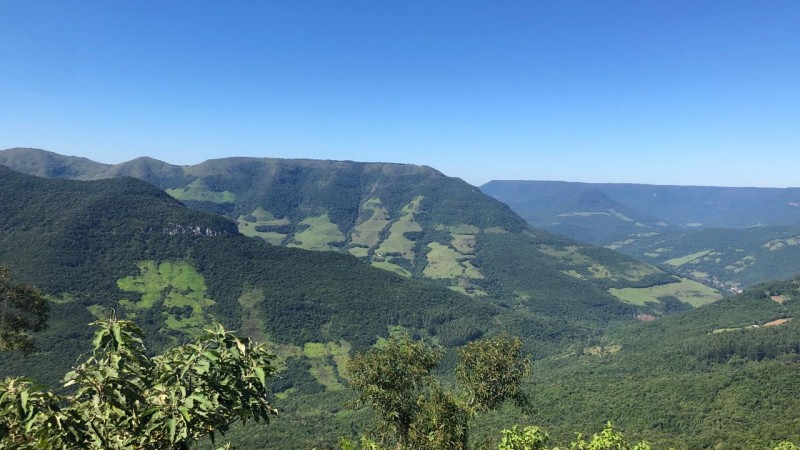 Além dos benefícios ao meio ambiente, a modalidade traz benefícios econômicos.