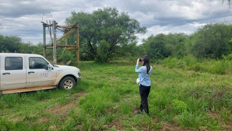 em um cen&aacute;rio de &aacute;rvores e grama alta, no Parque do Espinilho, uma mulher, de costas, tira foto de uma estrutura em madeira que est&aacute; ao fundo. Ao lado esquerdo, aparece a vistura da secretaria do meio ambiente e infraestrutura 