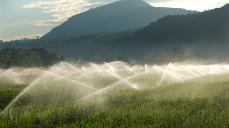 imagem de uma lavoura, com montanhas verdes ao fundo, contra o sol, e aparelhos de irrigação ligados, molhando o plantio.