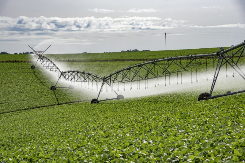 Aparelhos de irrigação aguando uma plantação.
