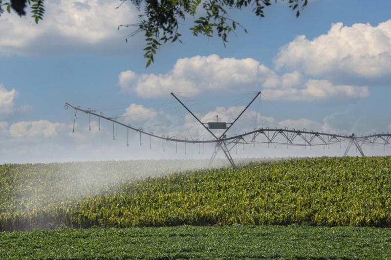 Uma plantação sendo irrigada por uma grande máquina com vários jatos de água em formato de spray. O céu está ensolarado, com algumas nuvens.