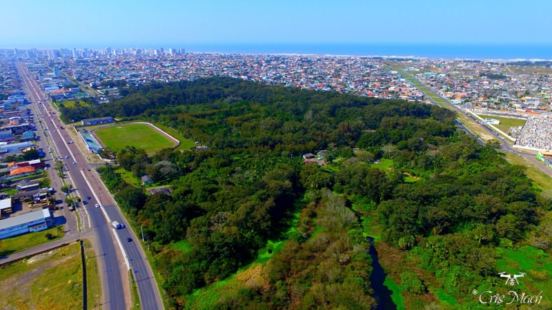 foto arie Litoral Norte