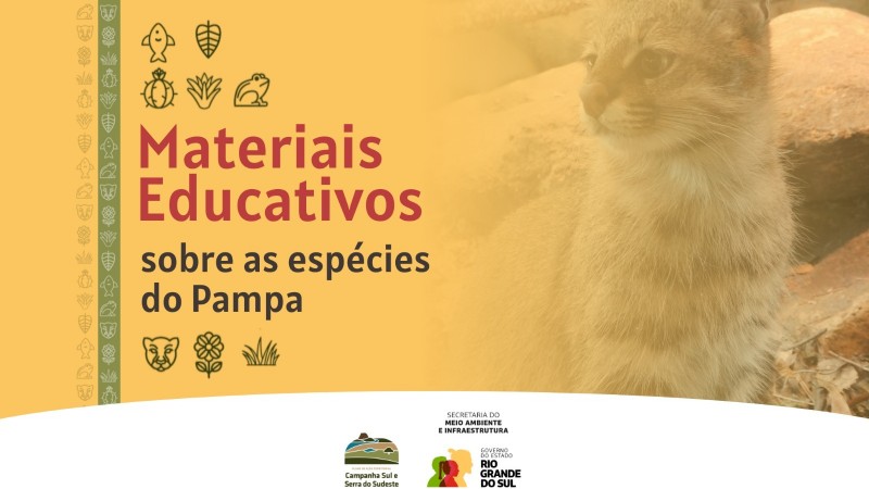 card com escrito MATERIAIS EDUCATIVOS sobre espécies do pampa.