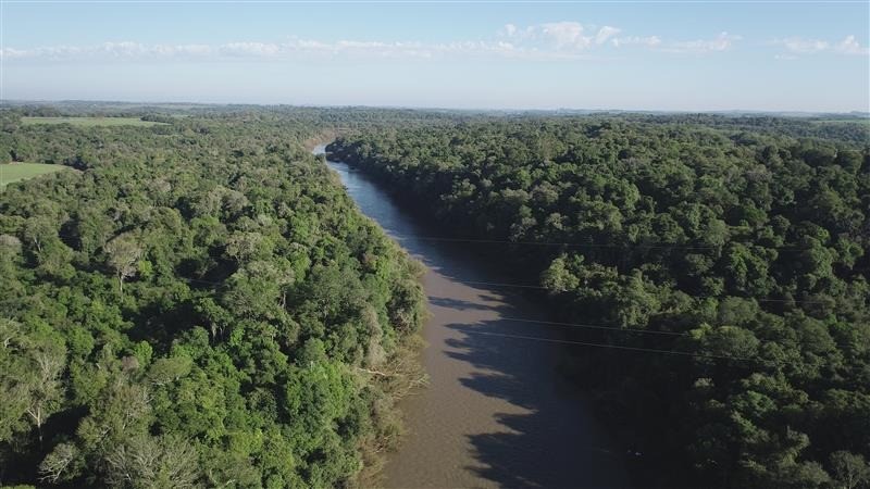 na imagem, uma densa floresta verde e, ao centro, o rio piratinim corta a vegetação.