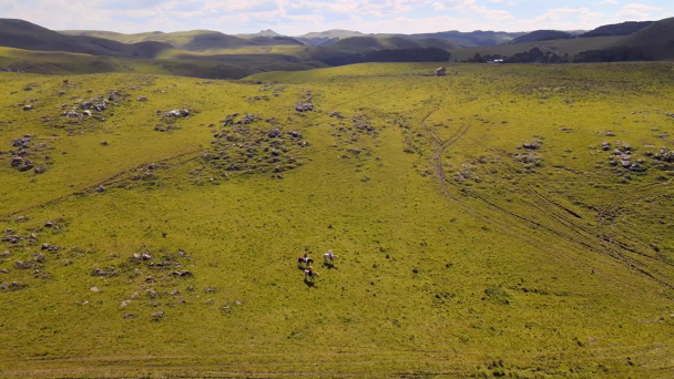 Área do pampa vista de cima mostrando um grande espaço de campo nativo.