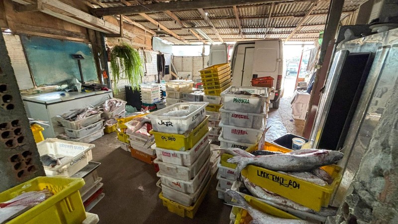 Local com várias caixas com espécies de peixes, condições sanitária inadequadas e ao fundo uma van utilizada para o transporte do pescado ilegal.