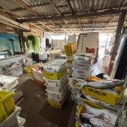 Local com várias caixas com espécies de peixes, condições sanitária inadequadas e ao fundo uma van utilizada para o transporte do pescado ilegal.