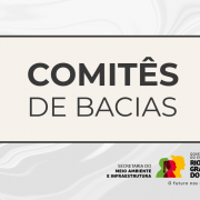 Poderão participar do processo as empresas devidamente credenciadas no sistema de Compras Eletrônicas