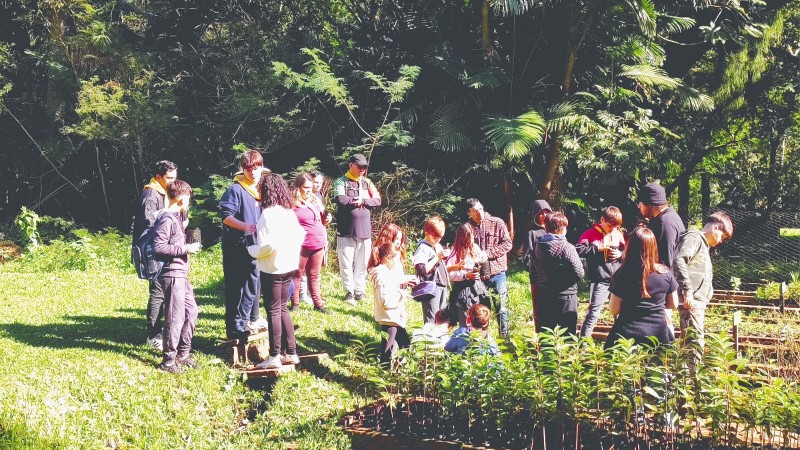 pessoas conhecem o viveiro de mudas