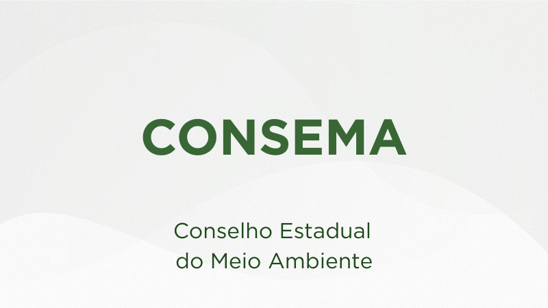 Conselho Gestor do FEMA (9)