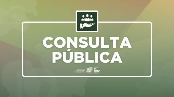 Consulta P&uacute;blica