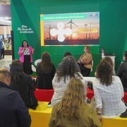 Secret&aacute;ria Marjorie apresenta o painel "Descarboniza&ccedil;&atilde;o Agora" no Gramado Summit 2026. 