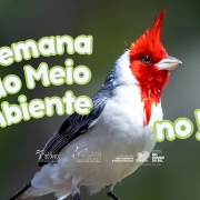Jardim Bot&acirc;nico de Porto Alegre promover&aacute; atividades alusivas a Semana Mundial do Meio Ambiente de 01 a 03 de junho. 